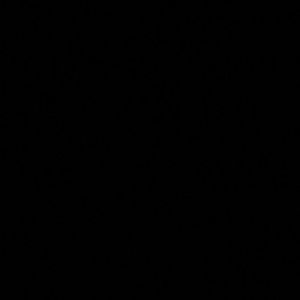 Meet your Posher, Lupe